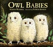 Owl Babies 25th ANNIVERSARY ED BOARD