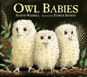 Owl Babies 25th ANNIVERSARY ED BOARD's front cover