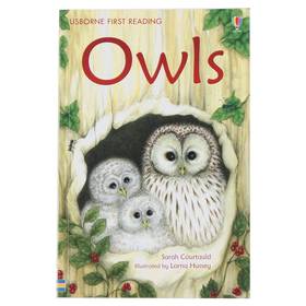 Owls (First Reading Level 4)'s front cover
