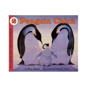 Penguin Chick
