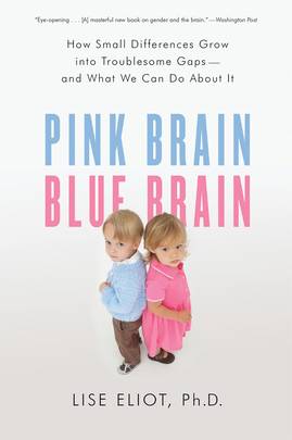 Pink Brain, Blue Brain's front cover
