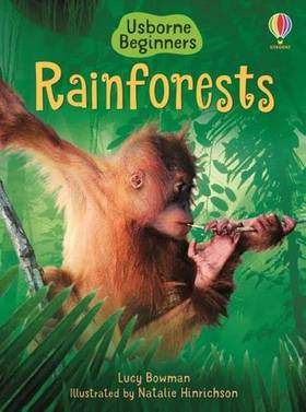 Rainforest - Usborne's front cover