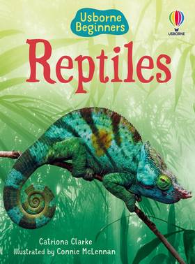 Reptiles - Usborne Beginners (Beginners Series)'s front cover