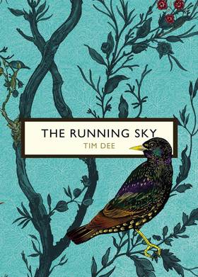 The Running Sky