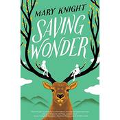 Saving Wonder