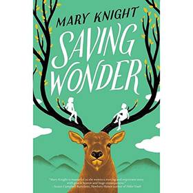 Saving Wonder's front cover