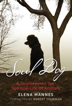 Soul Dog's front cover