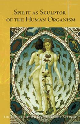 Spirit as Sculptor of the Human Organism's front cover