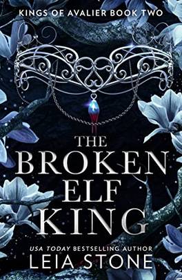The Broken Elf King's front cover