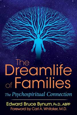The Dreamlife of Families's front cover