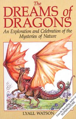 The Dreams of Dragons's front cover