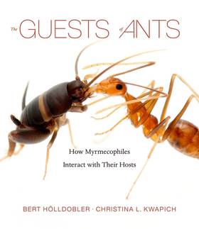 The Guests of Ants: How Myrmecophiles Interact with Their Hosts's front cover
