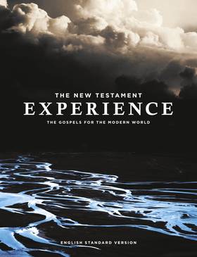 The New Testament Experience: The Gospels for the Modern World