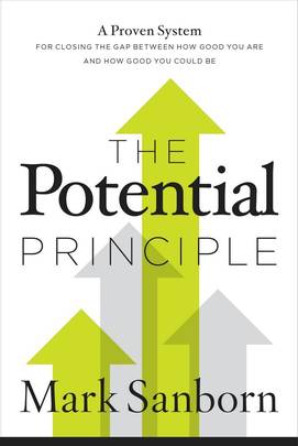 THE POTENTIAL PRINCIPLE [Paperback] Sanborn, Mark's front cover