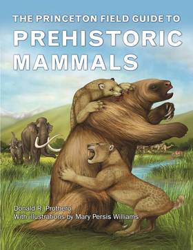 The Princeton Field Guide to Prehistoric Mammals's front cover