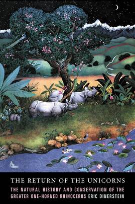 The Return of the Unicorns's front cover