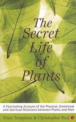 The Secret Life of Plants's front cover