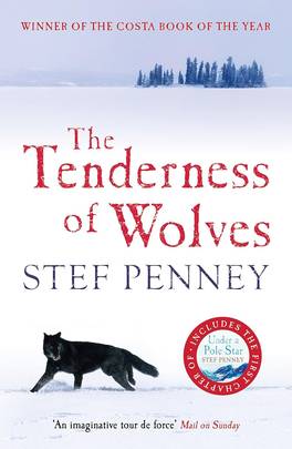 The Tenderness of Wolves's front cover