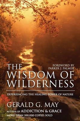 The Wisdom of Wilderness's front cover