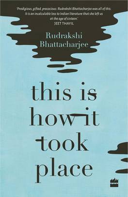 This Is How It Took Place: Stories's front cover