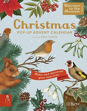Welcome To The Museum: A Christmas Pop-up Advent Calendar (hardcover)