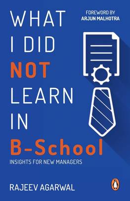 What I Did Not Learn in B School's front cover