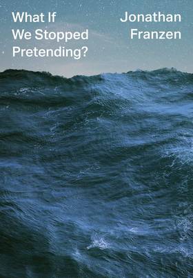 What If We Stopped Pretending's front cover