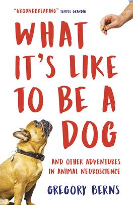 What Its Like To Be A Dog