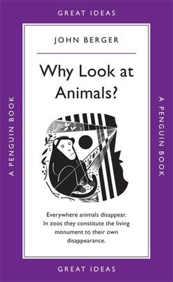 Great Ideas Why Look At Animals?
