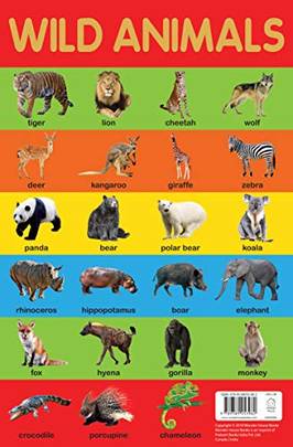 Wild Animals Chart - Early Learning Educational Chart For Kids: Perfect For Homeschooling, Kindergarten and Nursery Students's front cover
