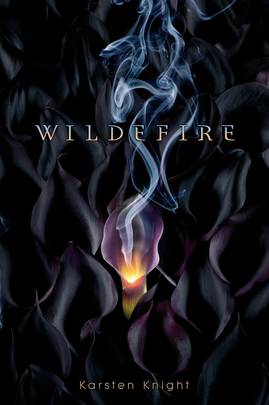 Wildefire's front cover