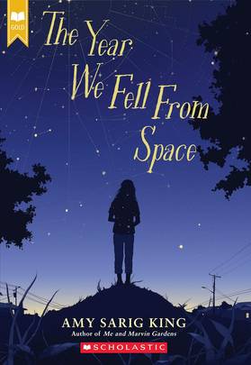 The Year We Fell from Space's front cover