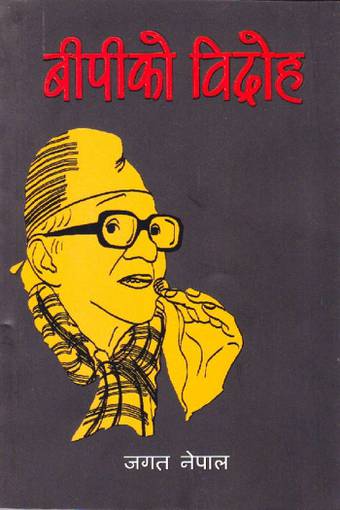 Batabaran pradushan essay in nepali image