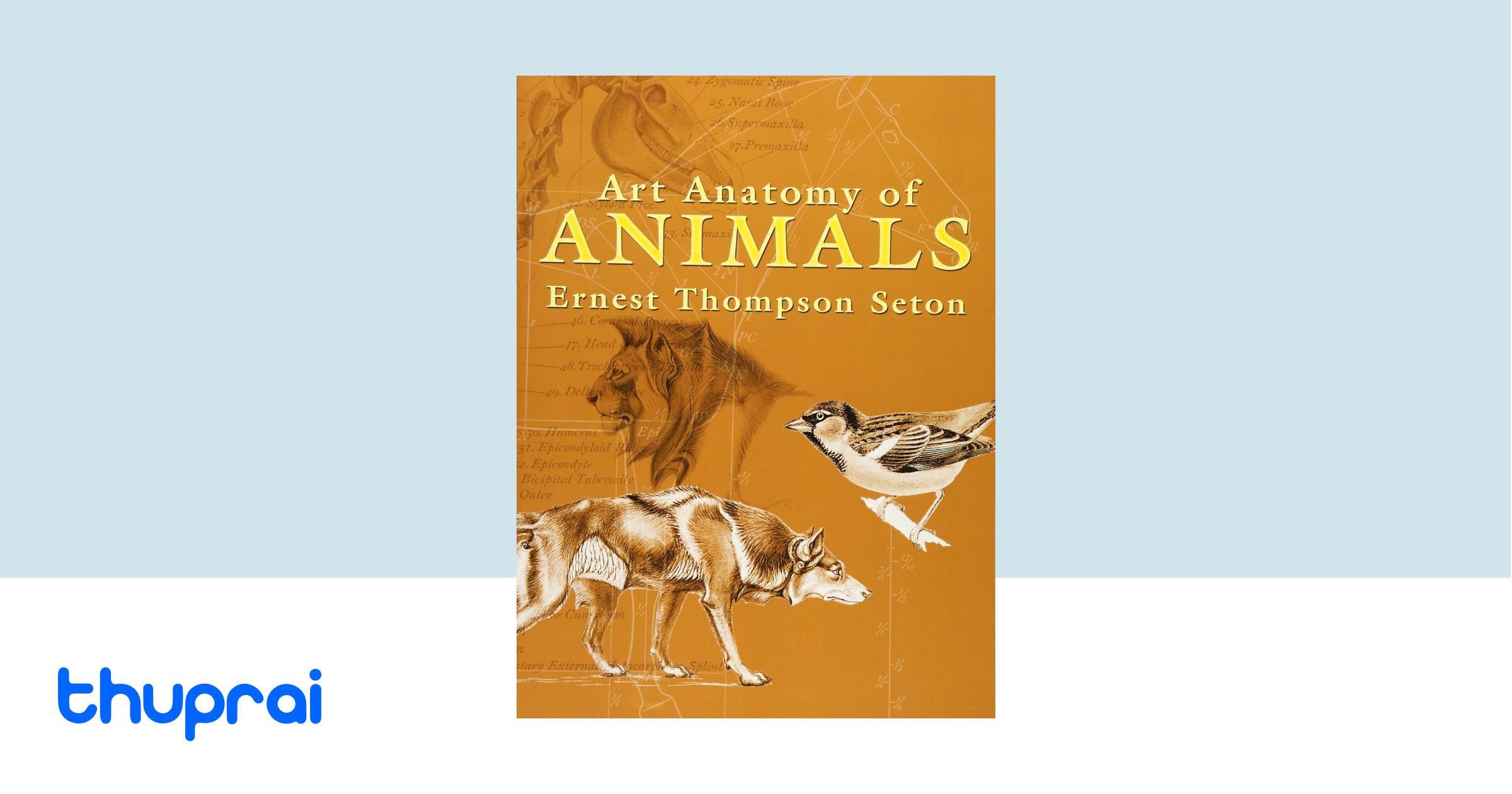 Buy Art Anatomy of Animals (Dover Anatomy for Artists) in Nepal | Thuprai