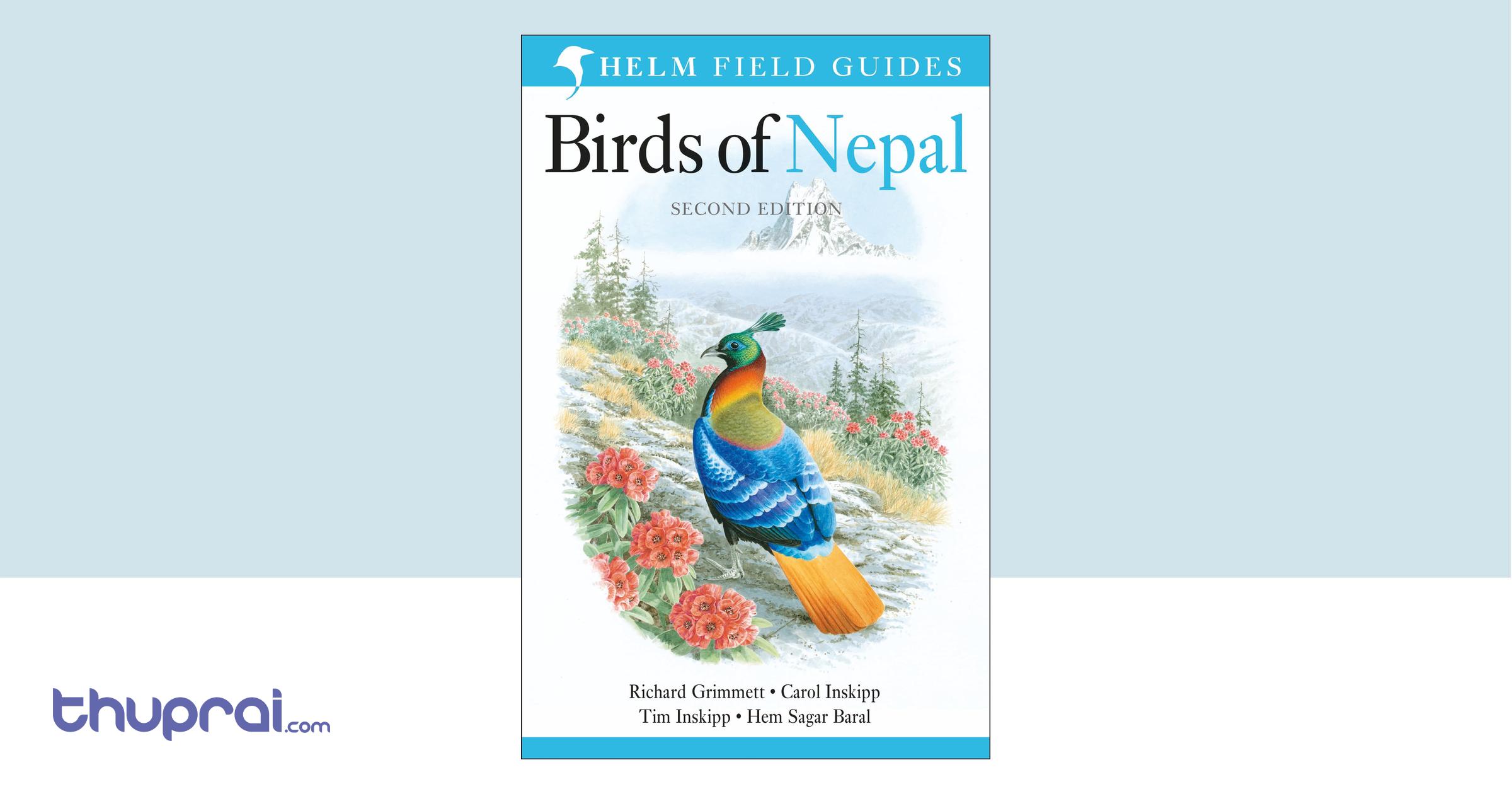 Essay about beauty of nepal image