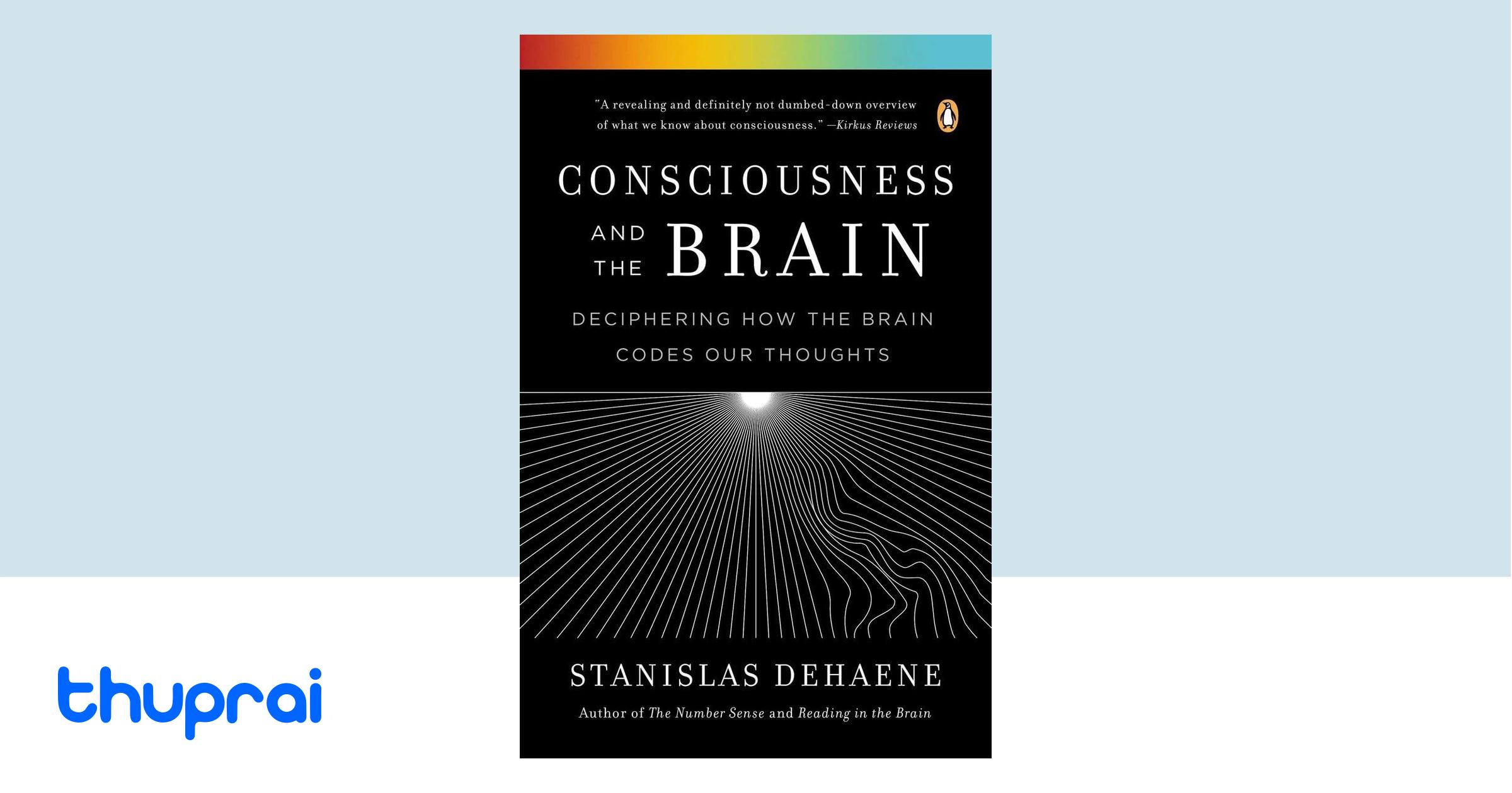 Consciousness visual data 2