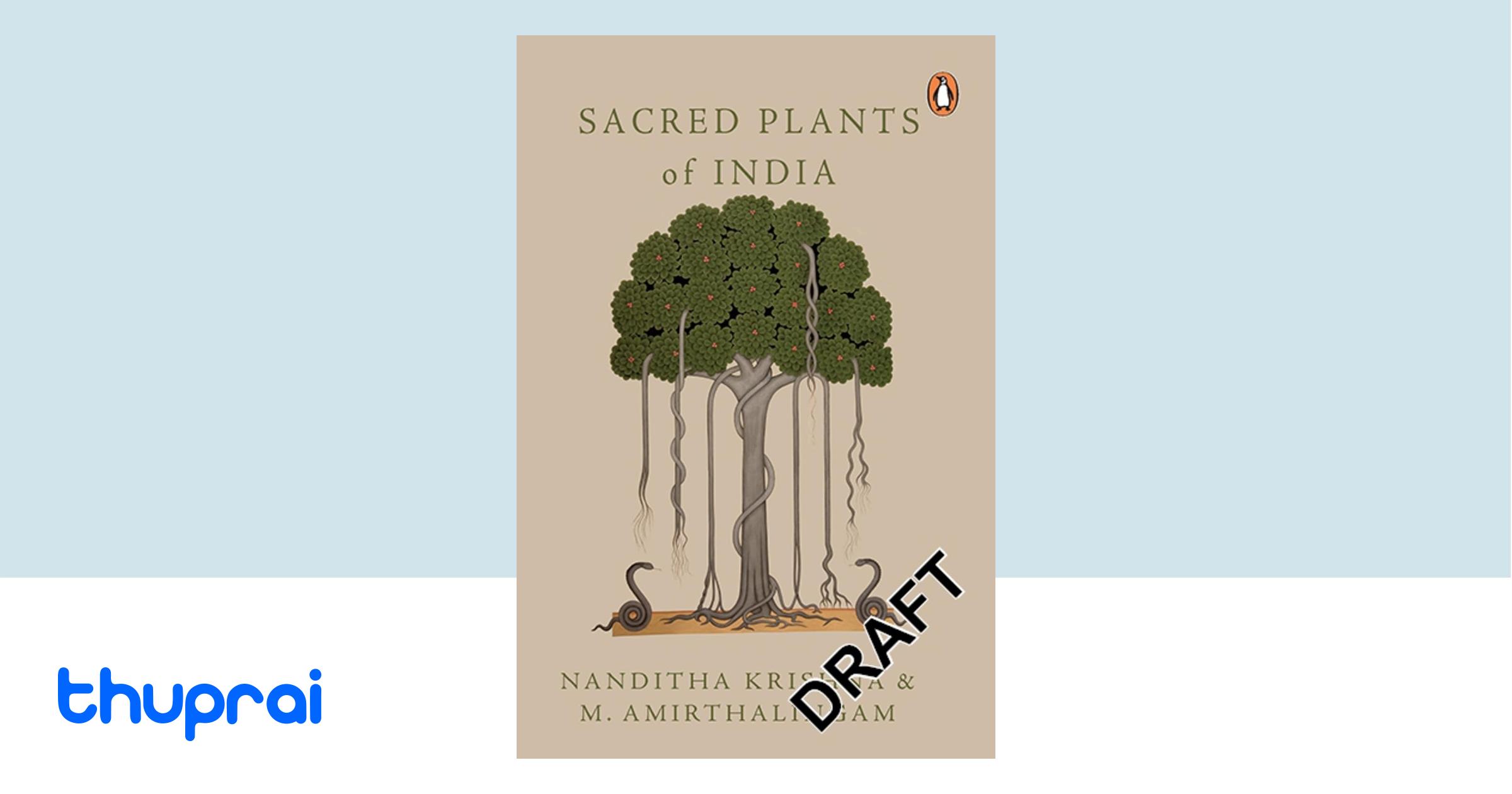 Buy Sacred Plants Of India In Nepal Thuprai