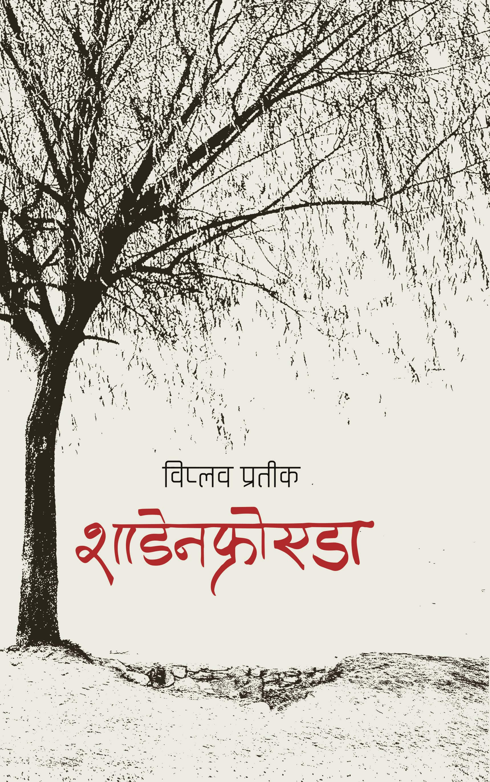 Schadenfreude's front cover